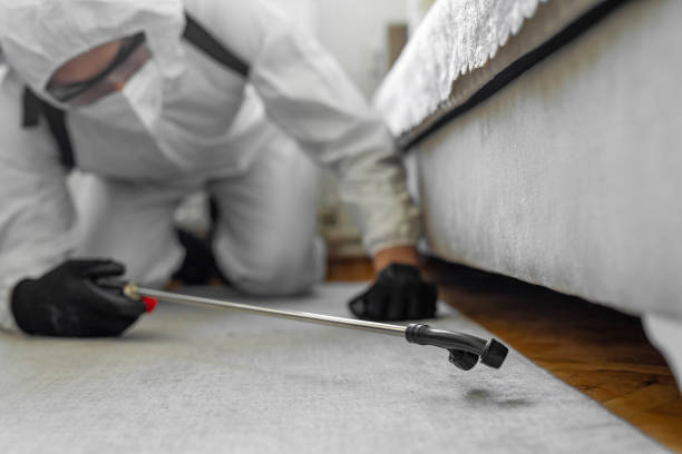 Professional Pest Control technician working in Schofield Barracks, HI