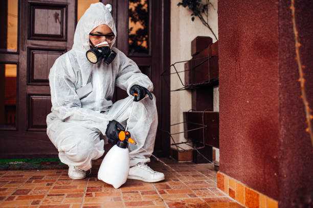 Reliable Rodent Control contractor in Schofield Barracks, HI by Nex Pest Control