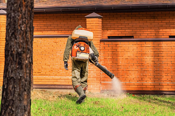 Trusted Cockroach Control service in Schofield Barracks, HI - Nex Pest Control